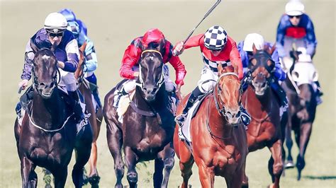 abc guide horse racing|horse racing abc guide tomorrow.